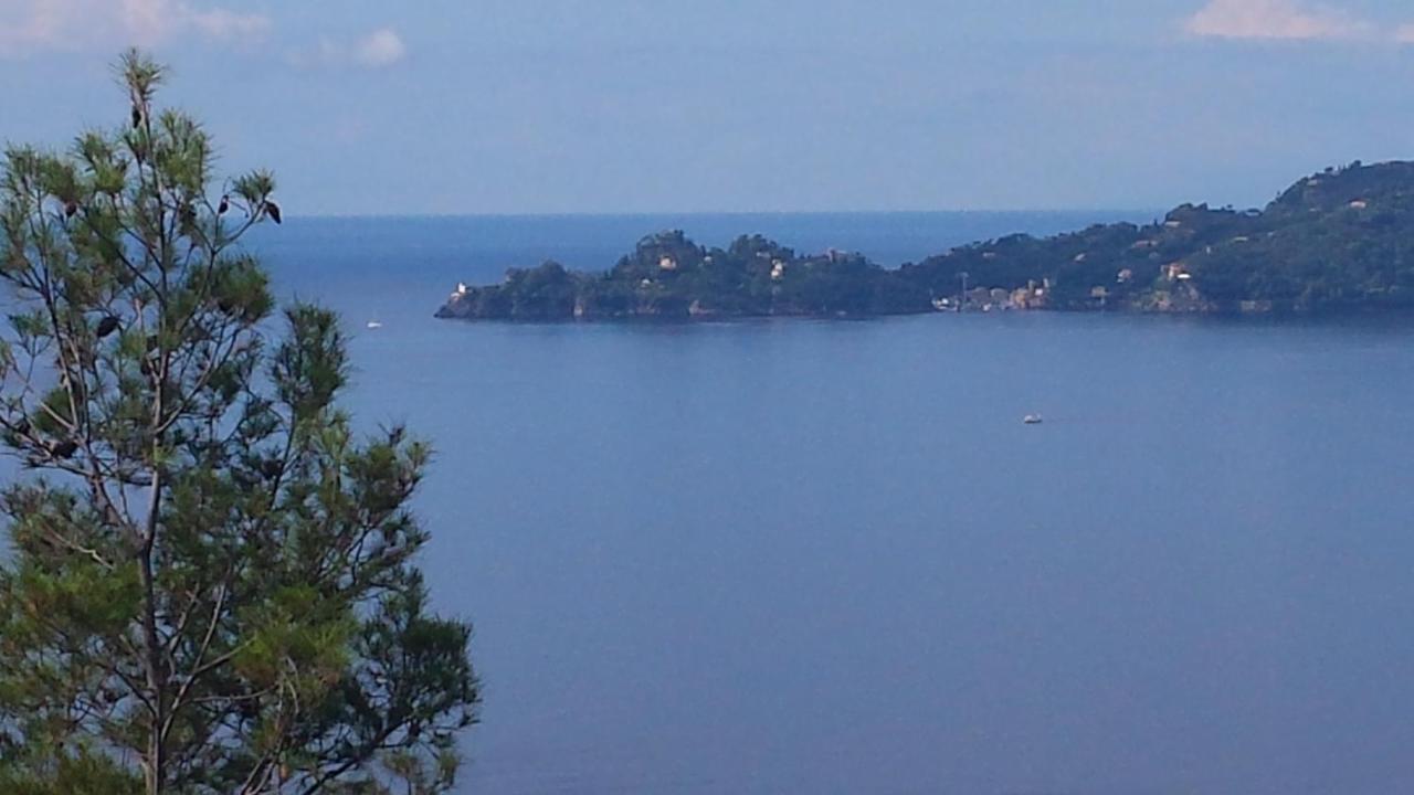 Vicino A Portofino E Alle Cinque Terre - Near Portofino And Cinque Terre Zoagli Exterior foto