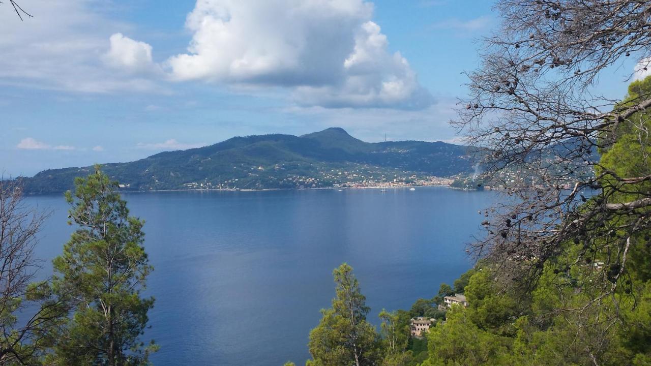 Vicino A Portofino E Alle Cinque Terre - Near Portofino And Cinque Terre Zoagli Exterior foto