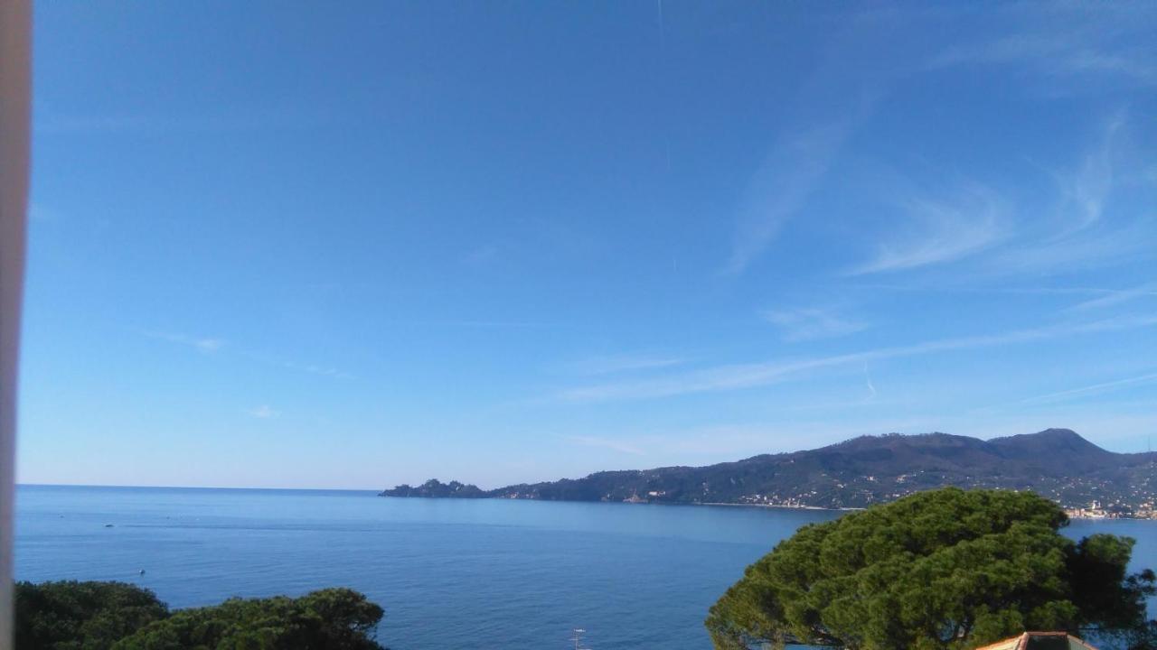 Vicino A Portofino E Alle Cinque Terre - Near Portofino And Cinque Terre Zoagli Exterior foto